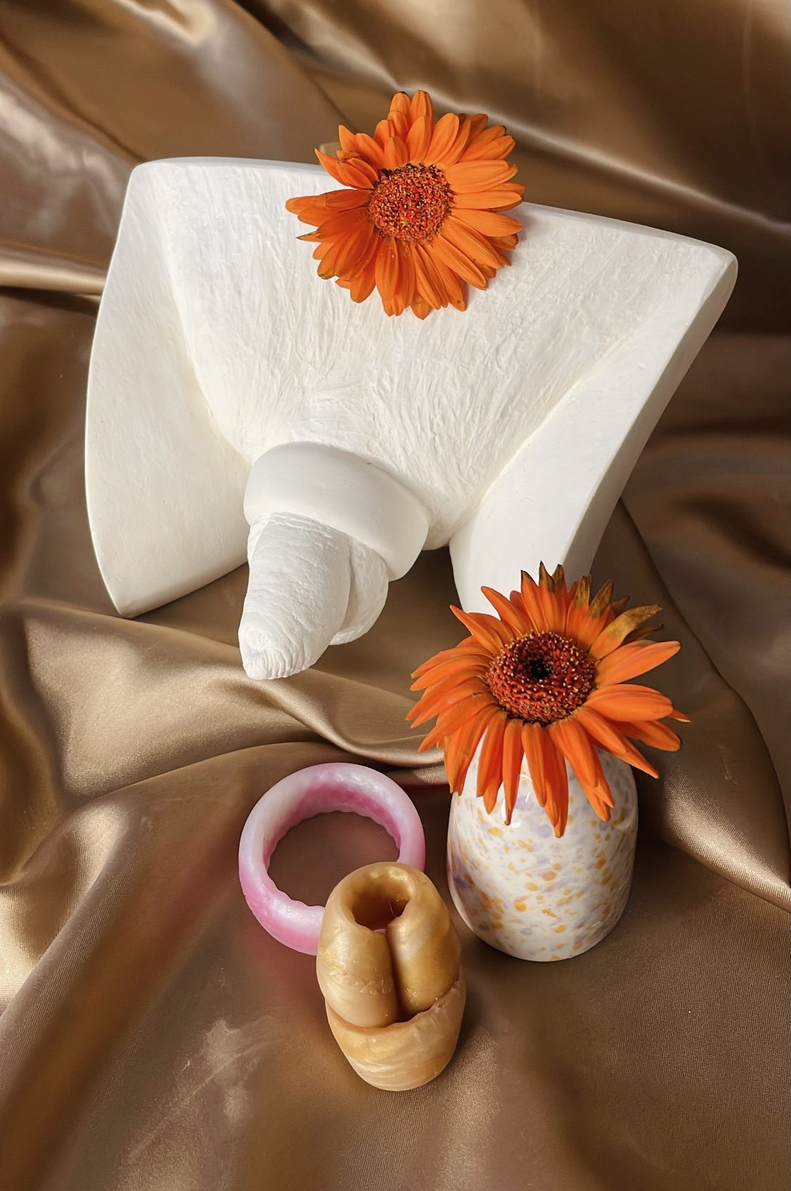 Moulage pédagogique – Anneau contraceptif 