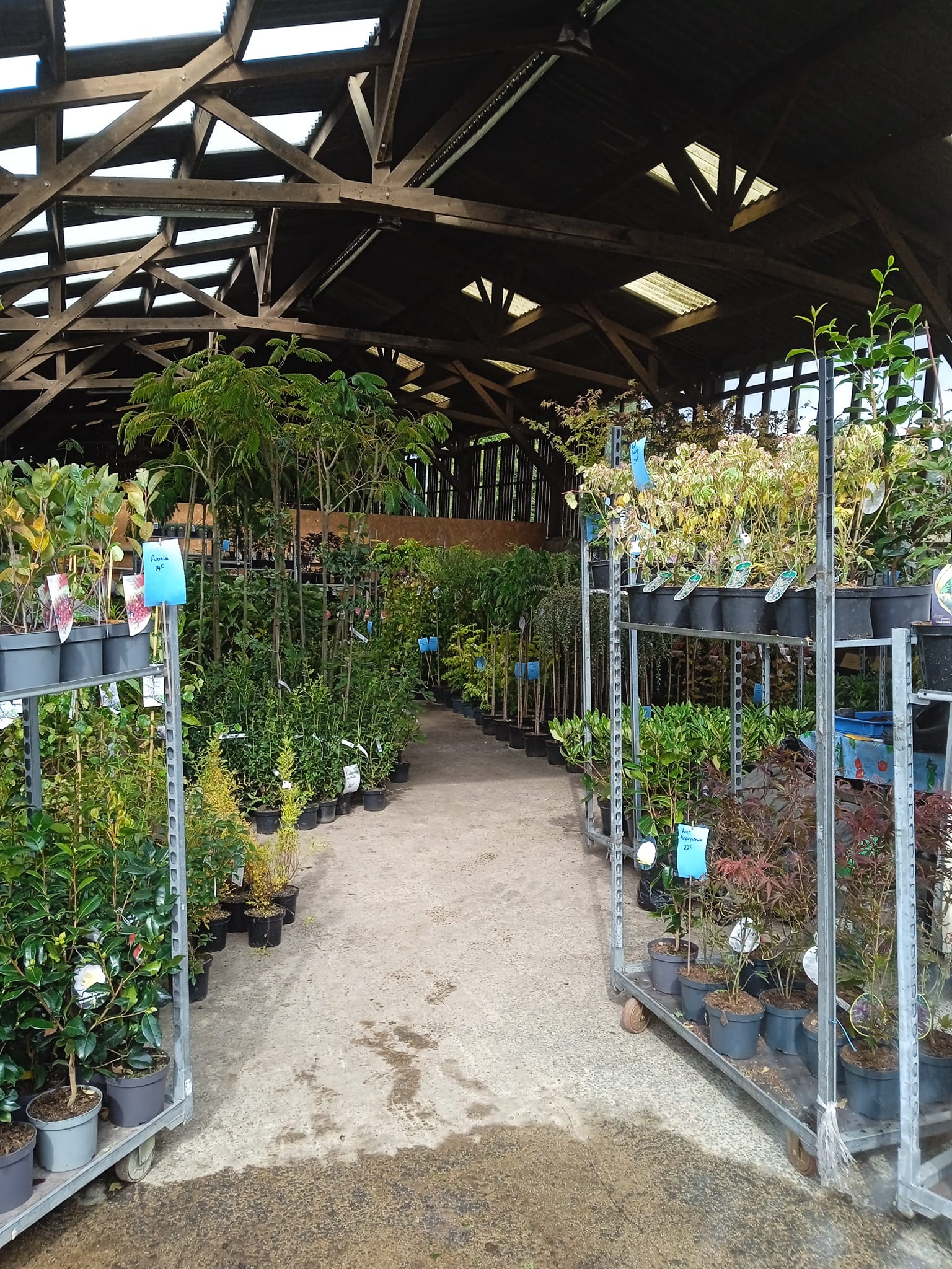 Molly & Val's Plantes 