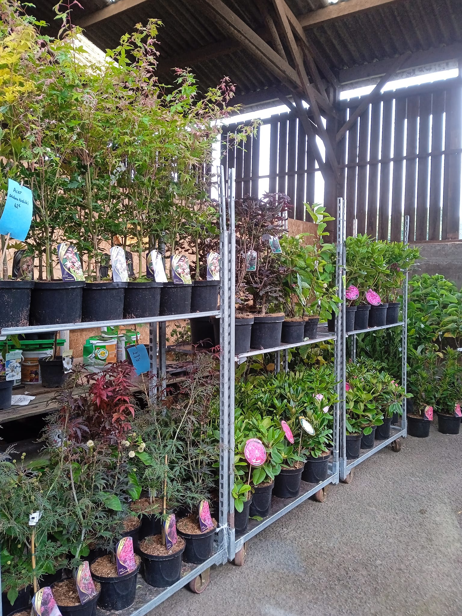 Molly & Val's Plantes 