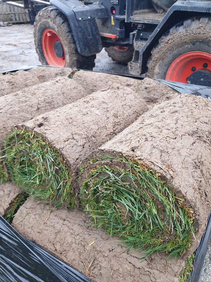 Gazon roulé / Rolled Turf