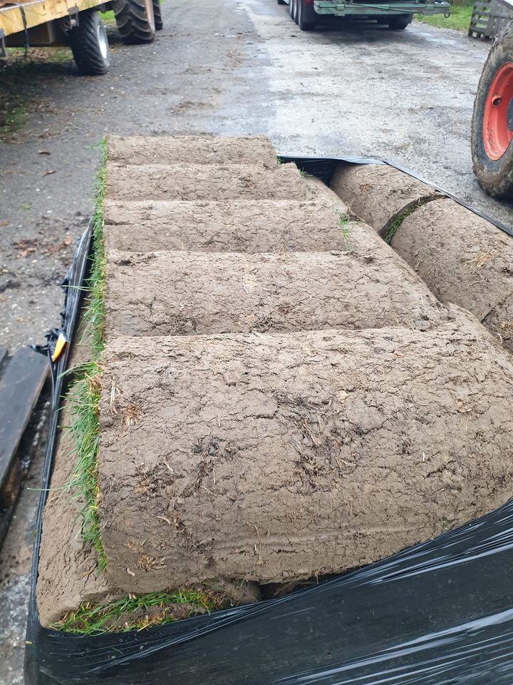 Gazon roulé / Rolled Turf