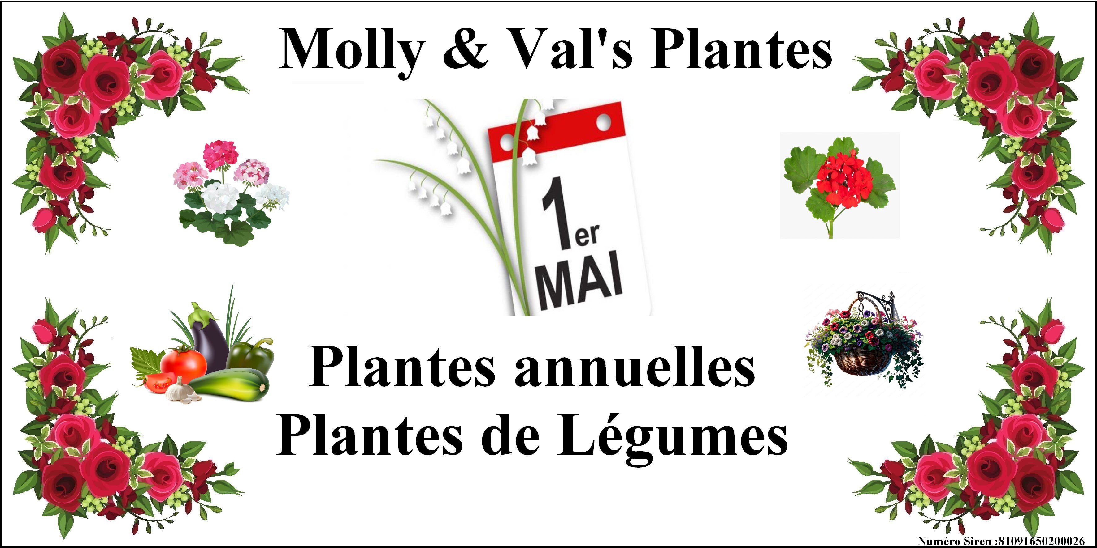 Molly & Val's Plantes 