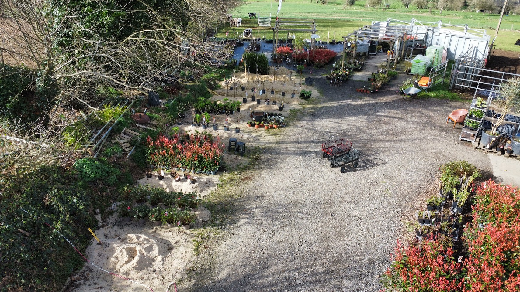 Molly & Val's Plantes 