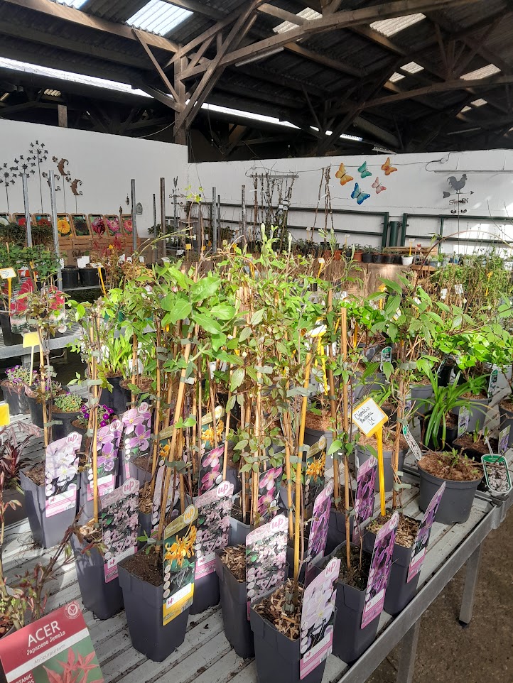 Molly & Val's Plantes 