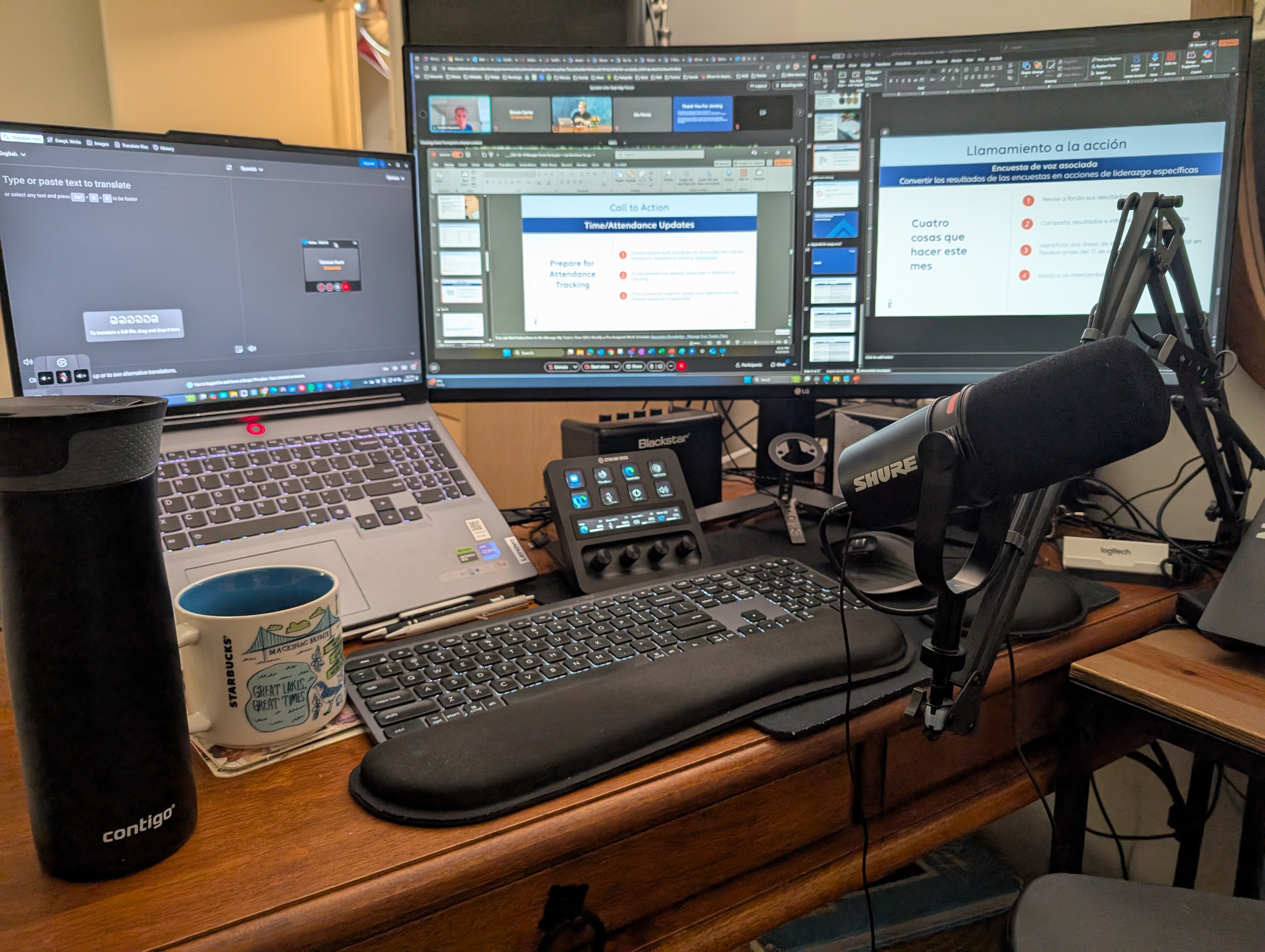 Professional Interpreting Service