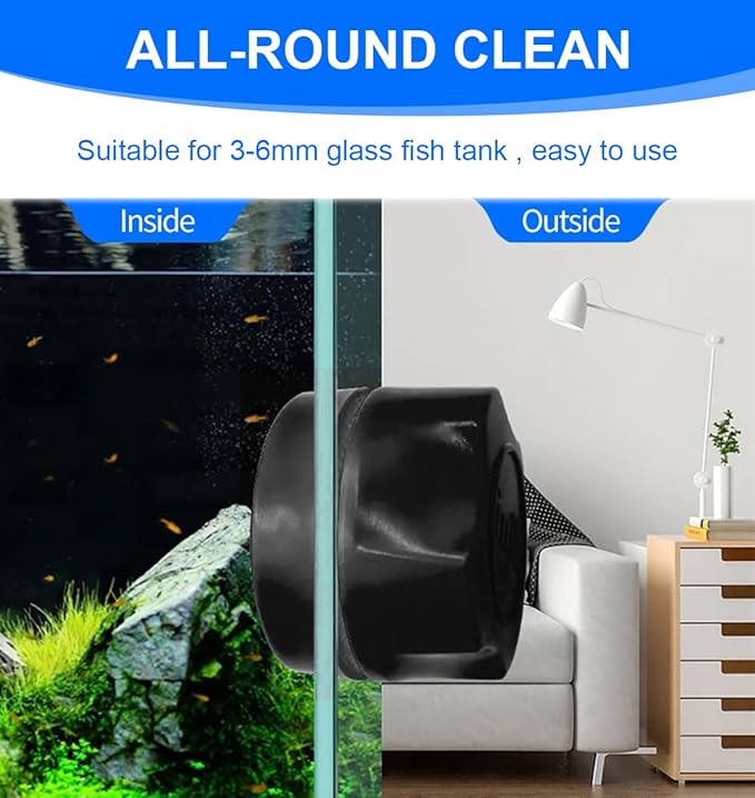 AIMANT Grattoir Algues Aquarium
