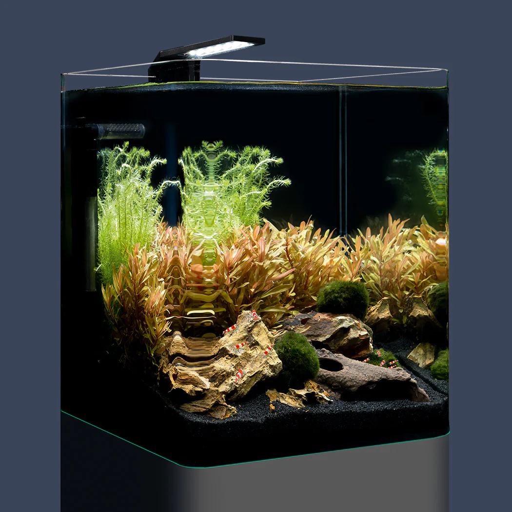DENNERLE Nano Cube 30L