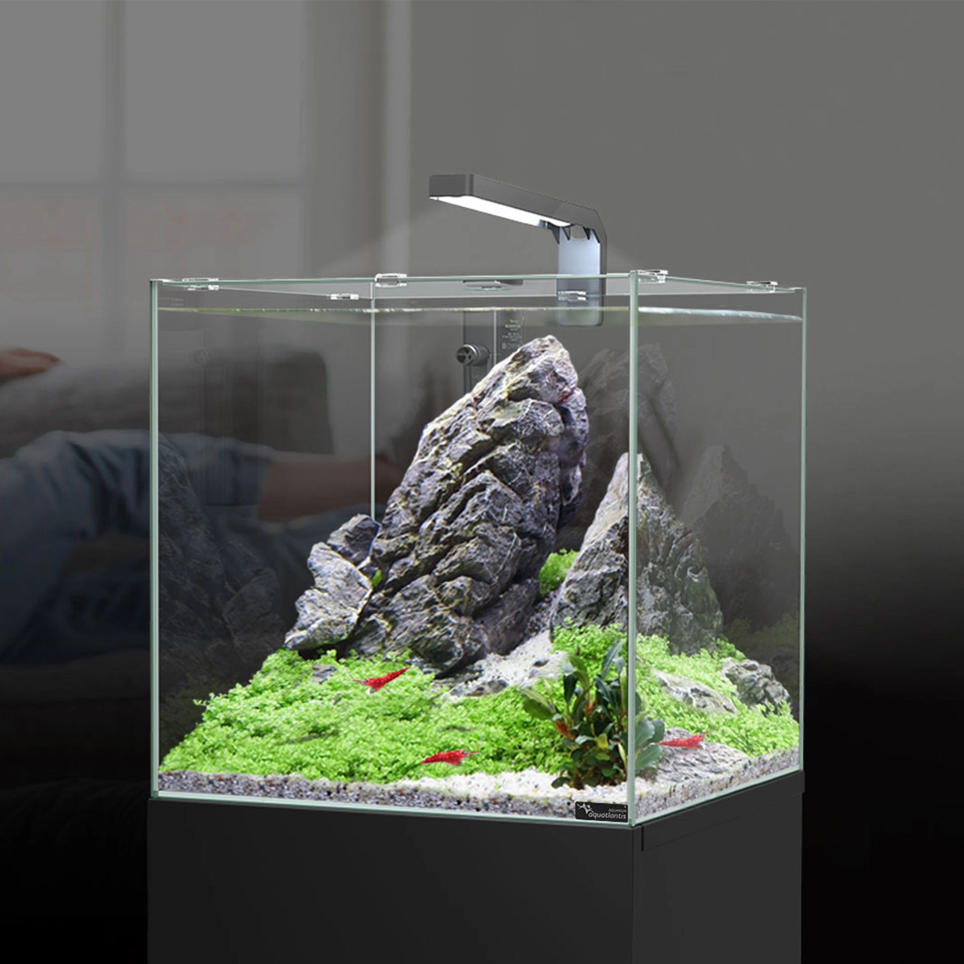 AQUATLANTIS KUBUS 33L