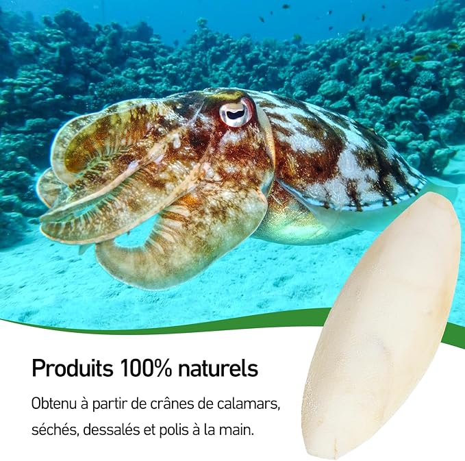 OS DE SÈCHES - OS NATURELS - Nourriture Escargots, Crevettes