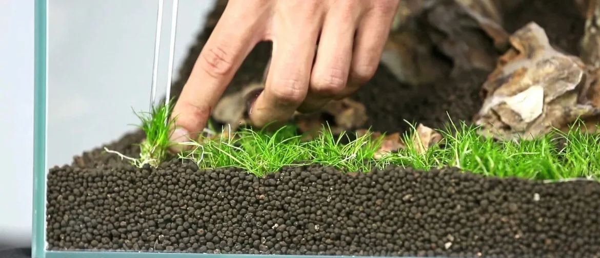 ADA Aqua Soil Amazonia Ver.2 – Sol technique haut de gamme pour aquariums plantés