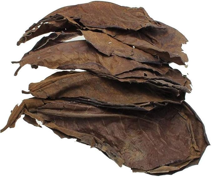 FEUILLES DE CATAPPA - Feuilles Naturelles - nourriture - coloration de l'eau - désinfectant naturel - acidifiant l'eau