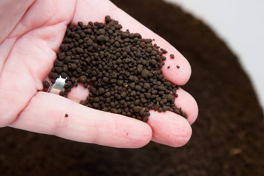 ADA Aqua Soil Amazonia Ver.2 – Sol technique haut de gamme pour aquariums plantés
