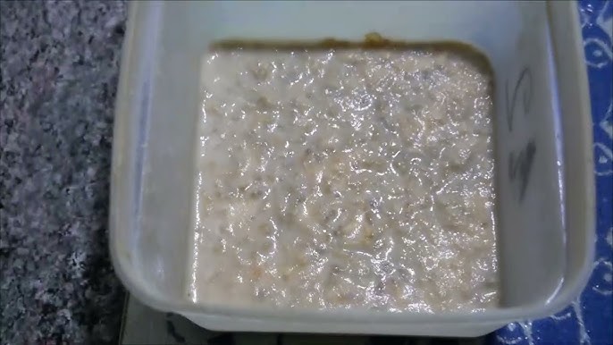 MICRO-VERS - NOURRITURE VIVANTE - Pour POISSONS & ALEVINS