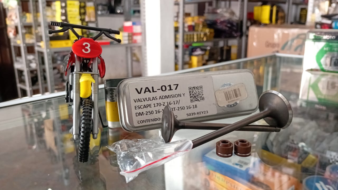 Válvulas de Admisión y escape 150 z DM 200  rt 250