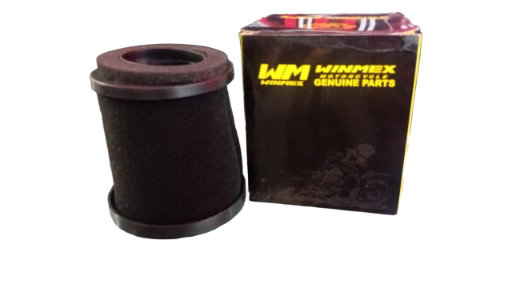 FILTRO DE AIRE FT 125  WINMEX 