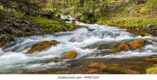 Nature Landscape Photography