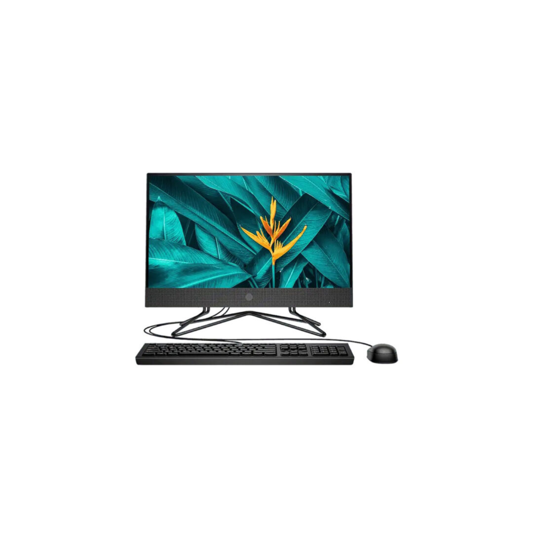 HP All-in-one 22 205 G4
