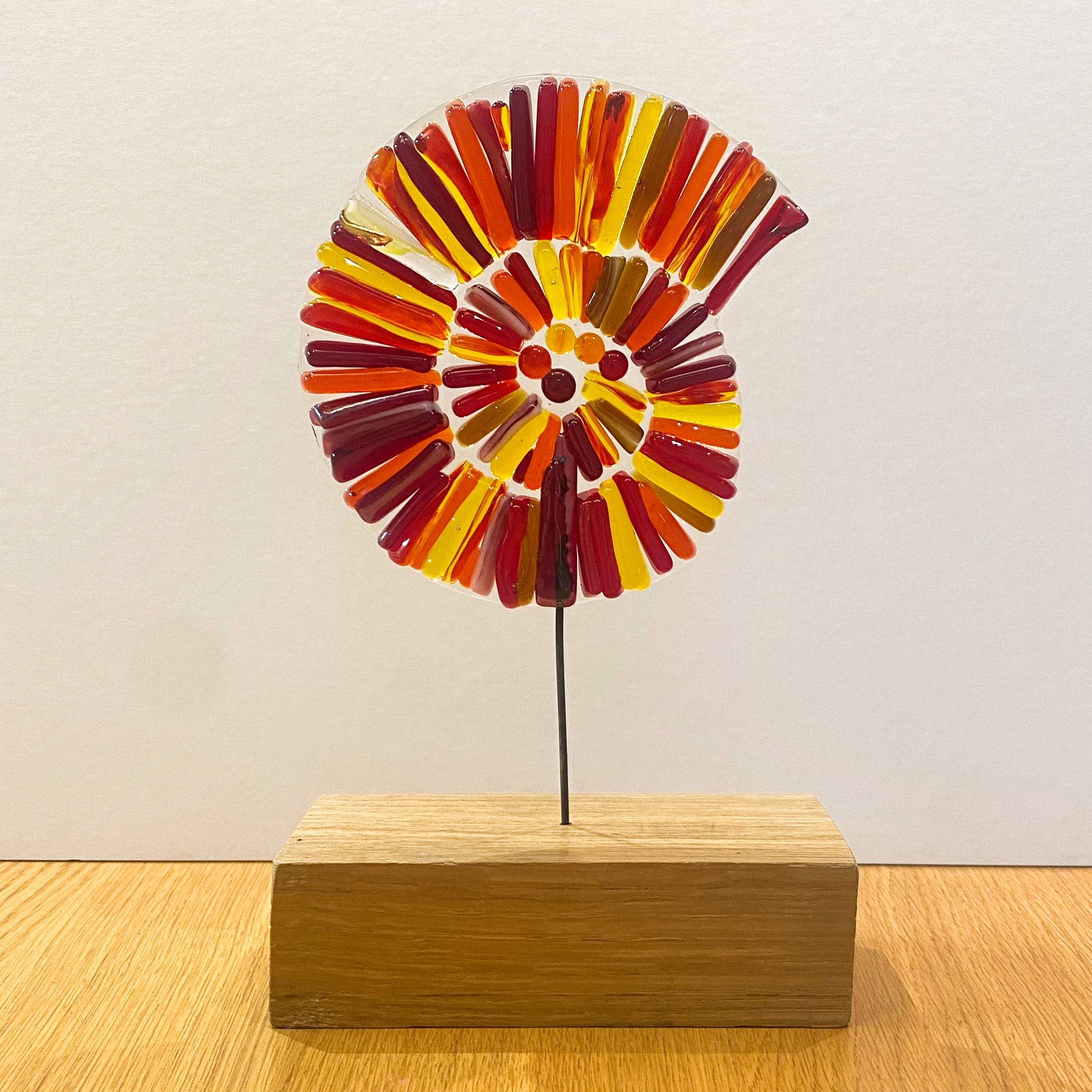 Red and Orange Ammonite on wood base