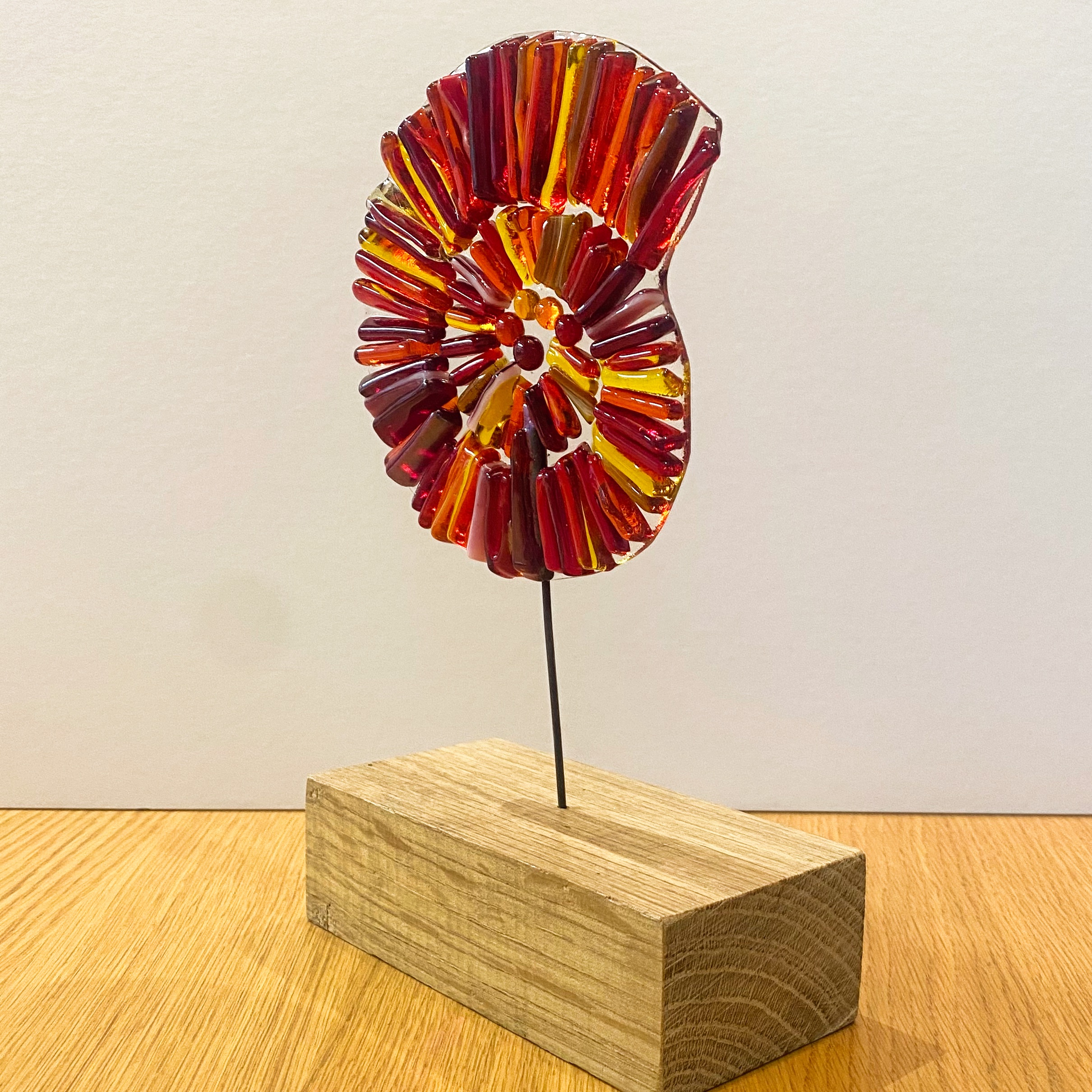 Red and Orange Ammonite on wood base