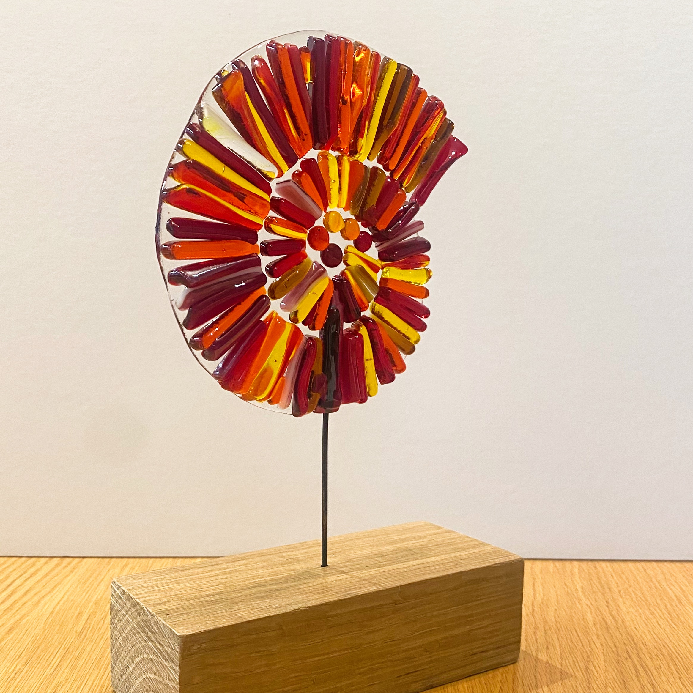 Red and Orange Ammonite on wood base