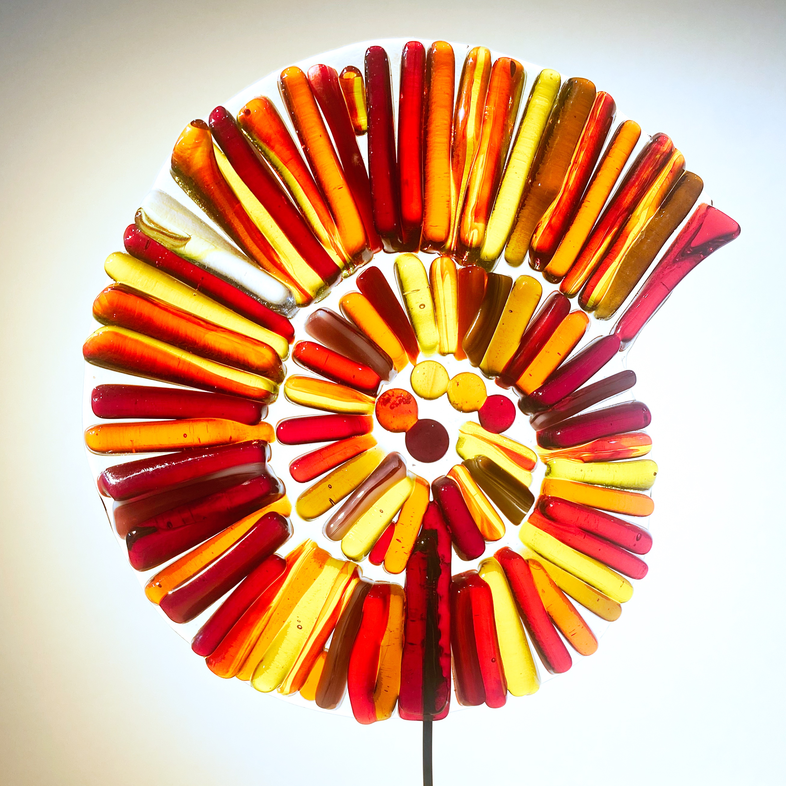 Red and Orange Ammonite on wood base