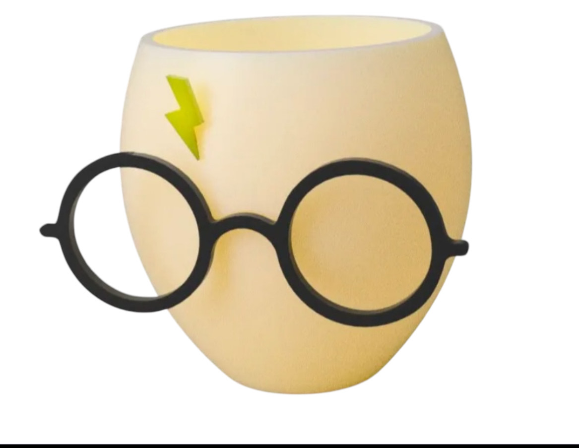 Porta Lápis Harry Potter