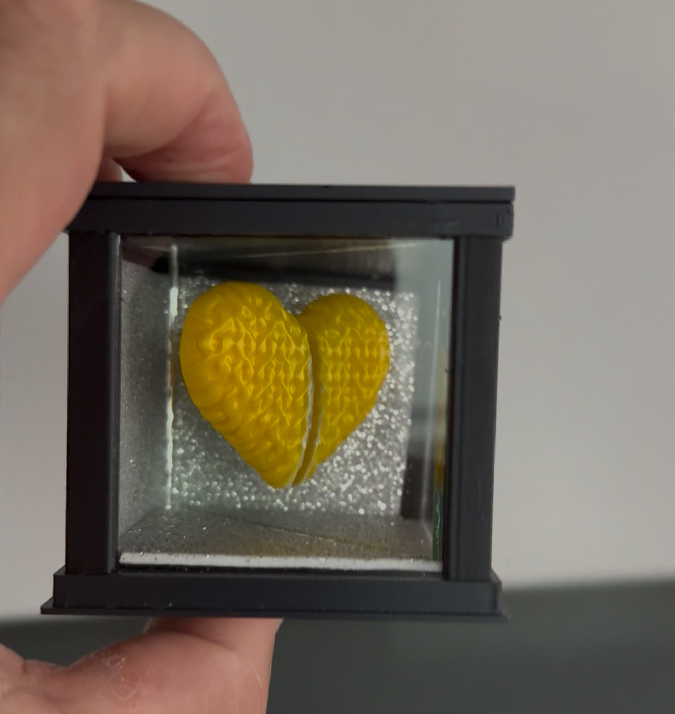 Caixa das Forças PRIDE