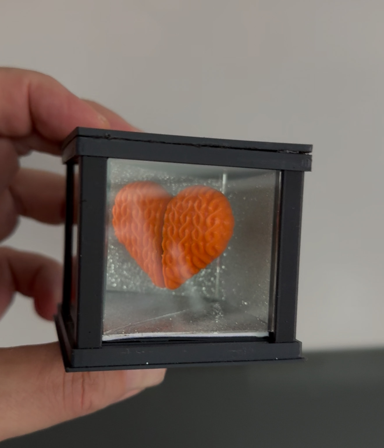 Caixa das Forças PRIDE