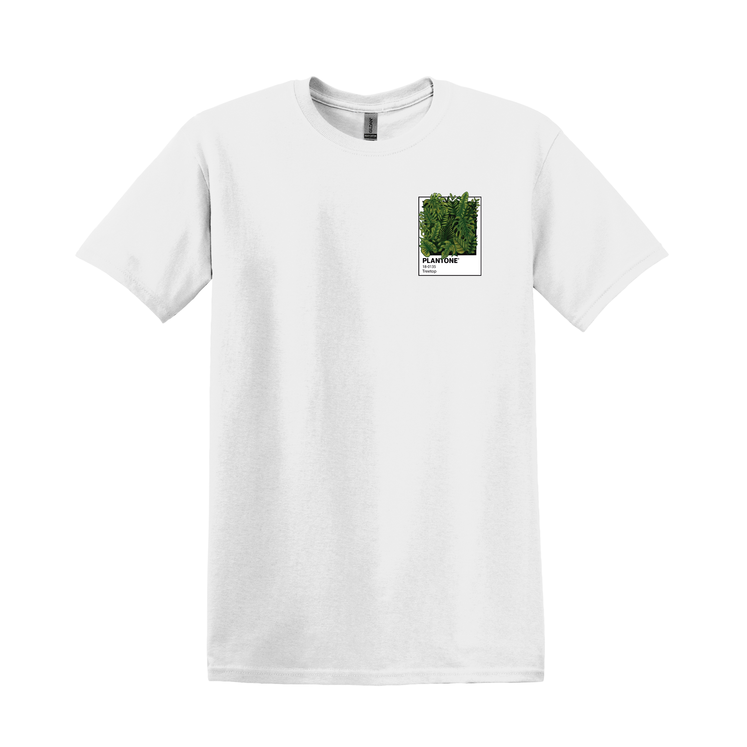PLANTONE BLANCA