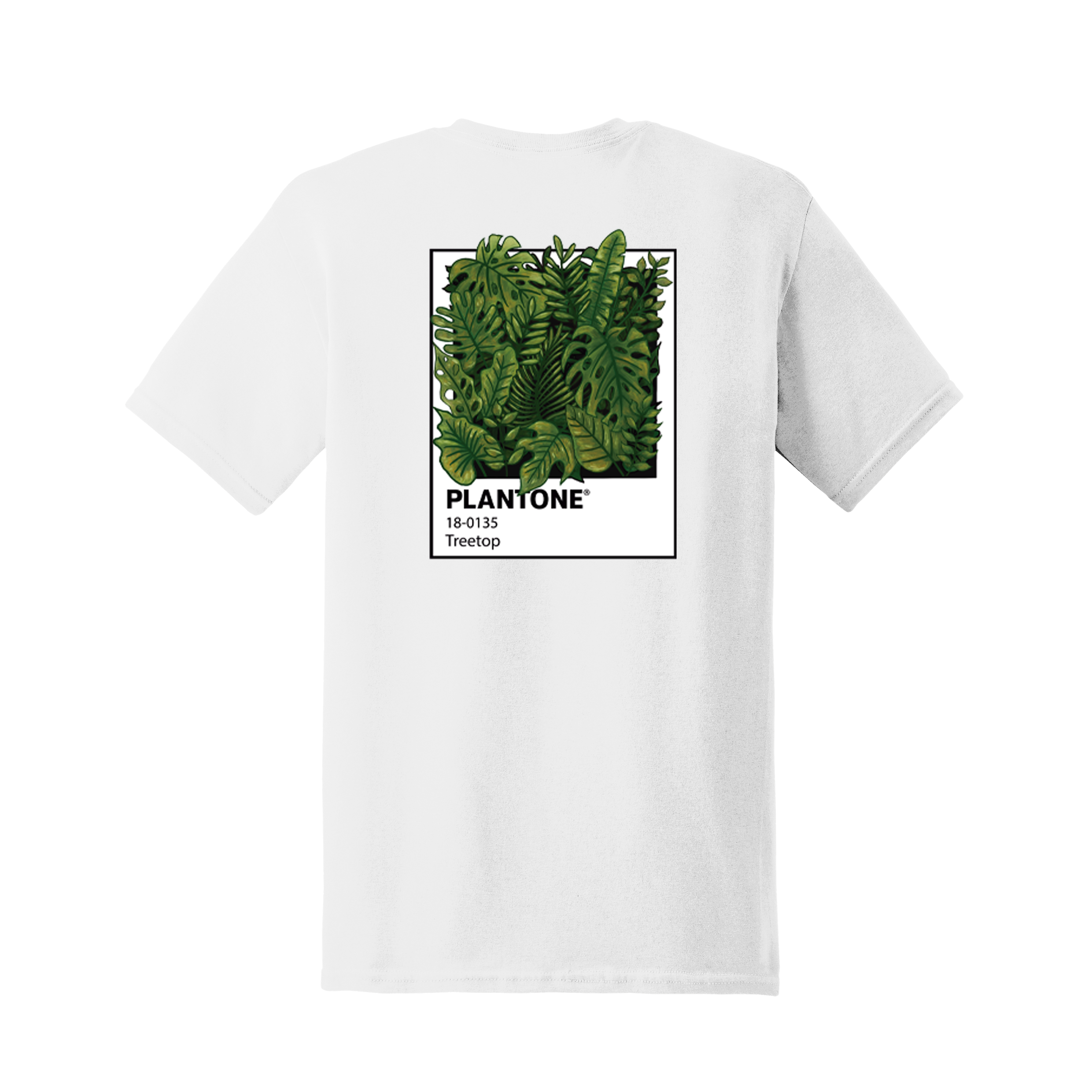 PLANTONE BLANCA