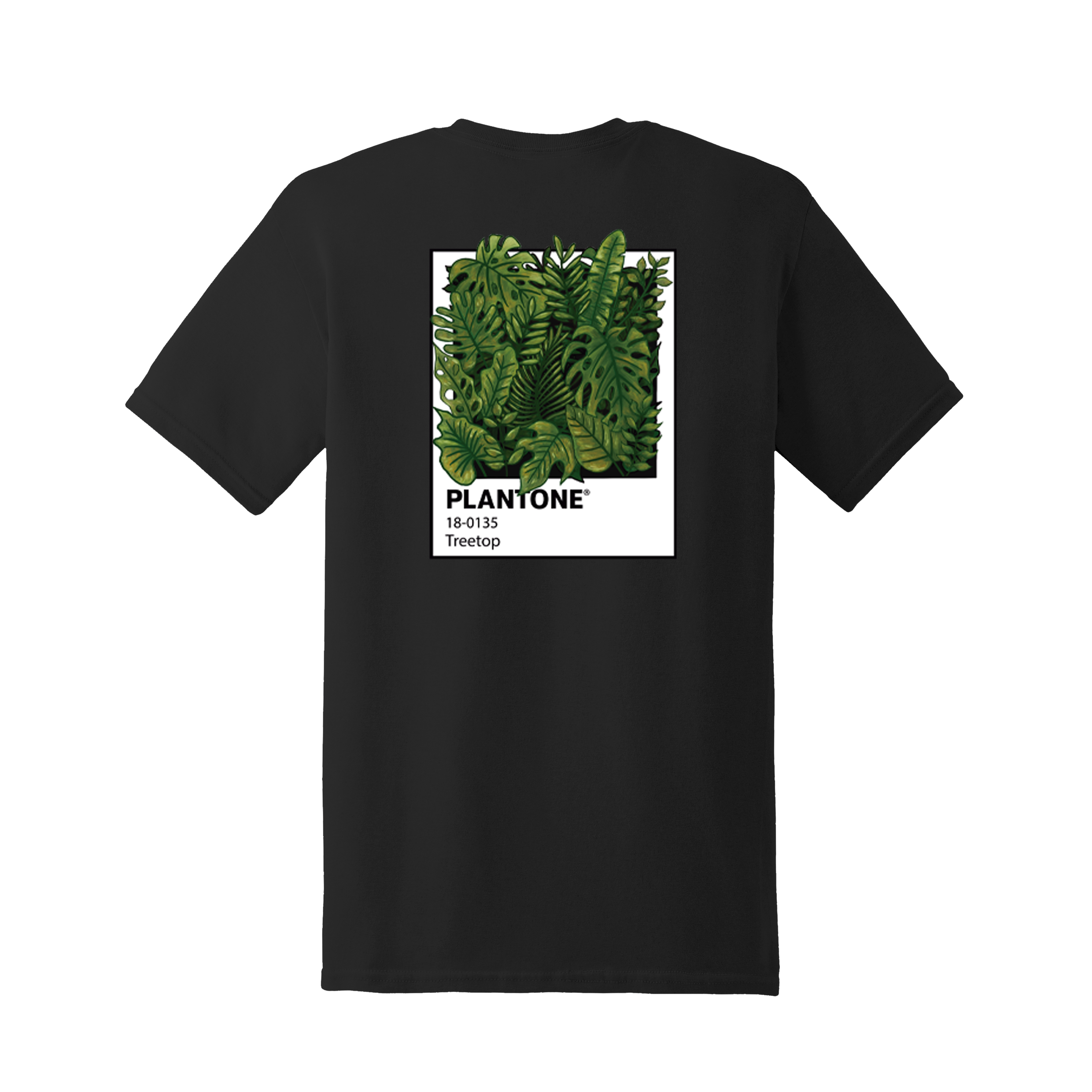 PLANTONE NEGRA