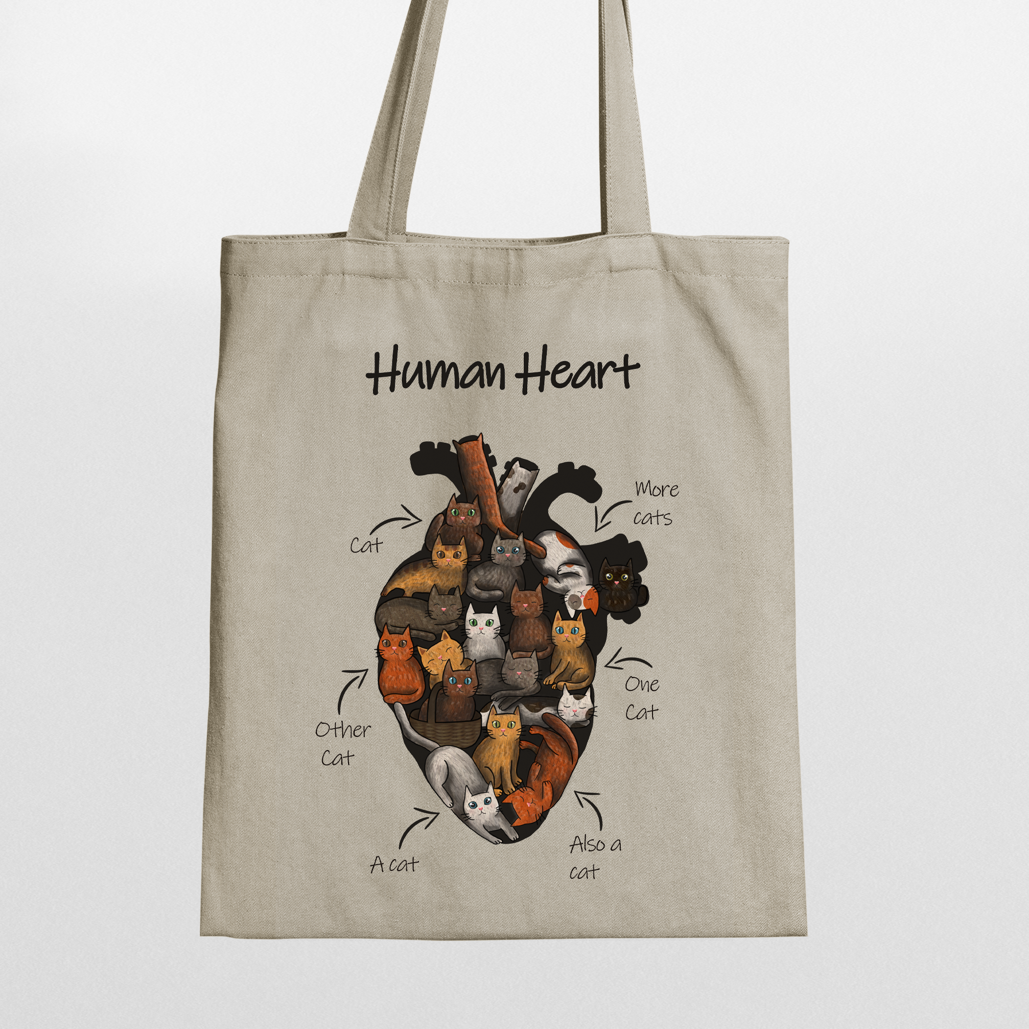 Human Heart