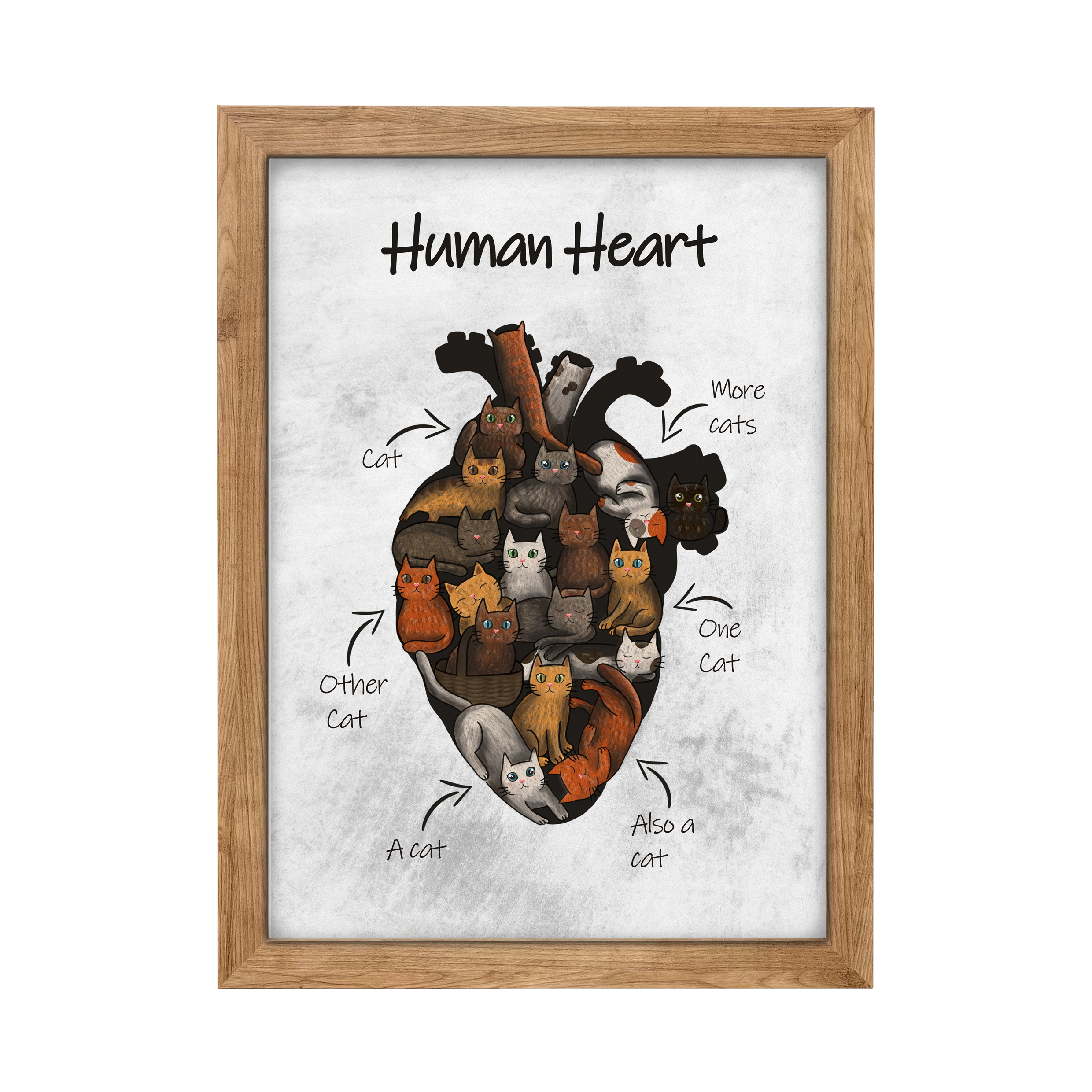 HUMAN HEART