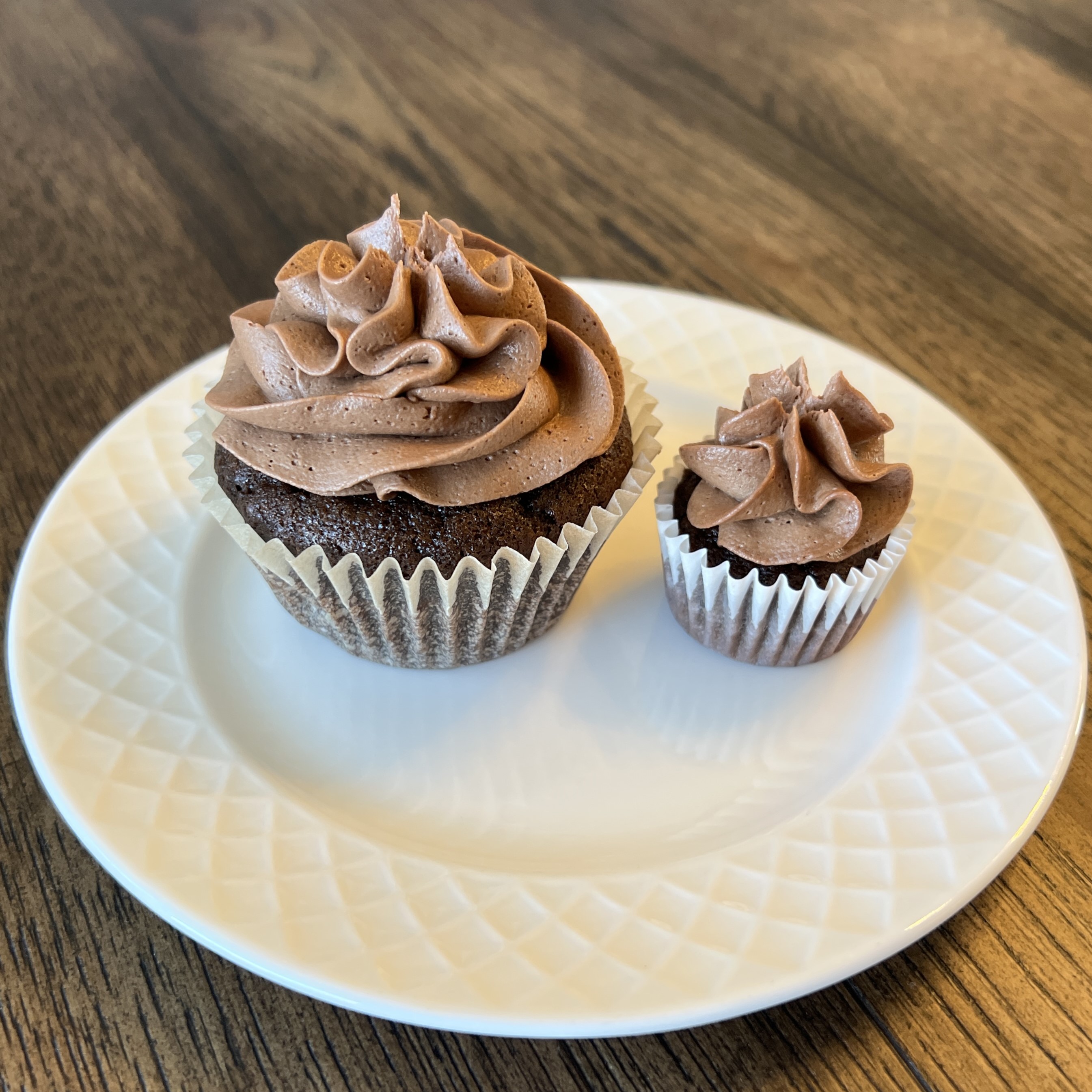 Mini Chocolate Cupcakes