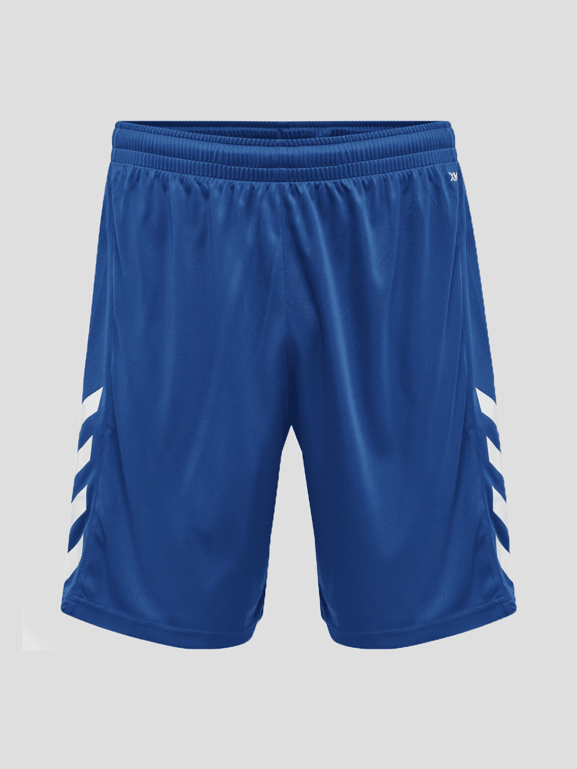 ŠORTAI (HMLCORE XK POLY)