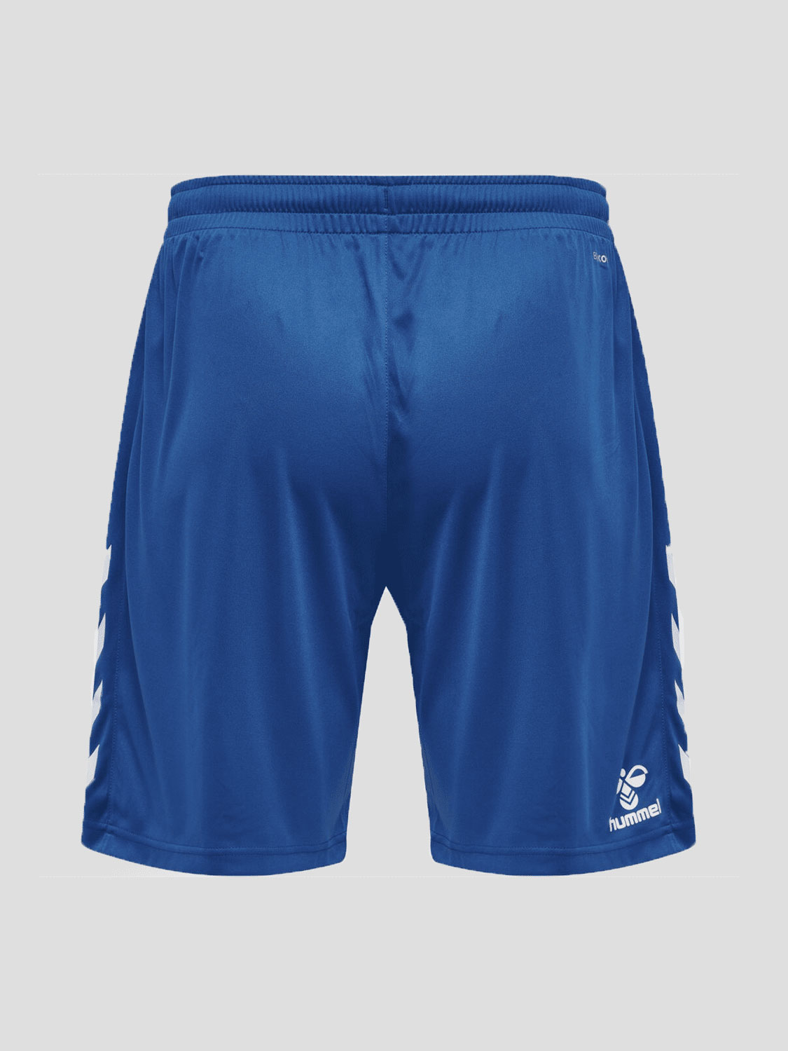 ŠORTAI (HMLCORE XK POLY)