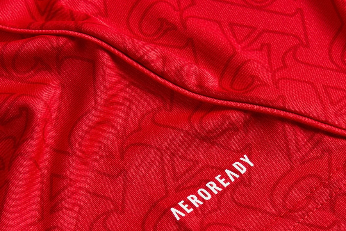 Arsenal 2025/26 Home Kit "Alternate"