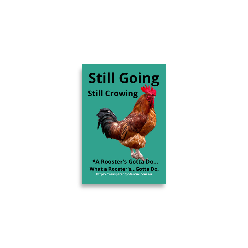 Transparent Rooster-A2