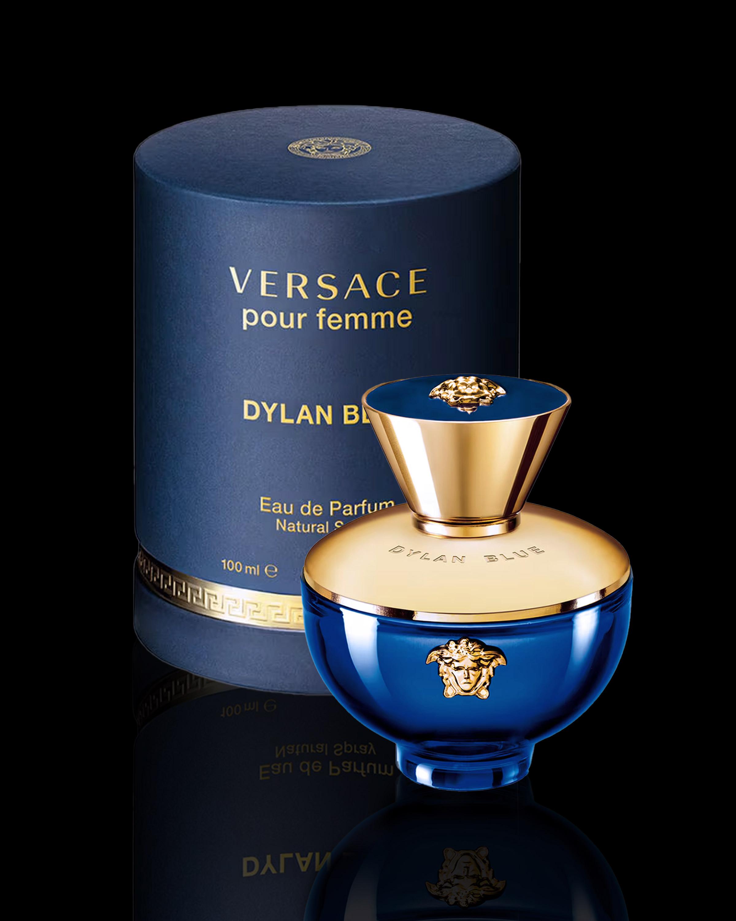 Versace Dylan Blue Pour Femme - 3.4 oz EDP for Women (Woody, Floral)