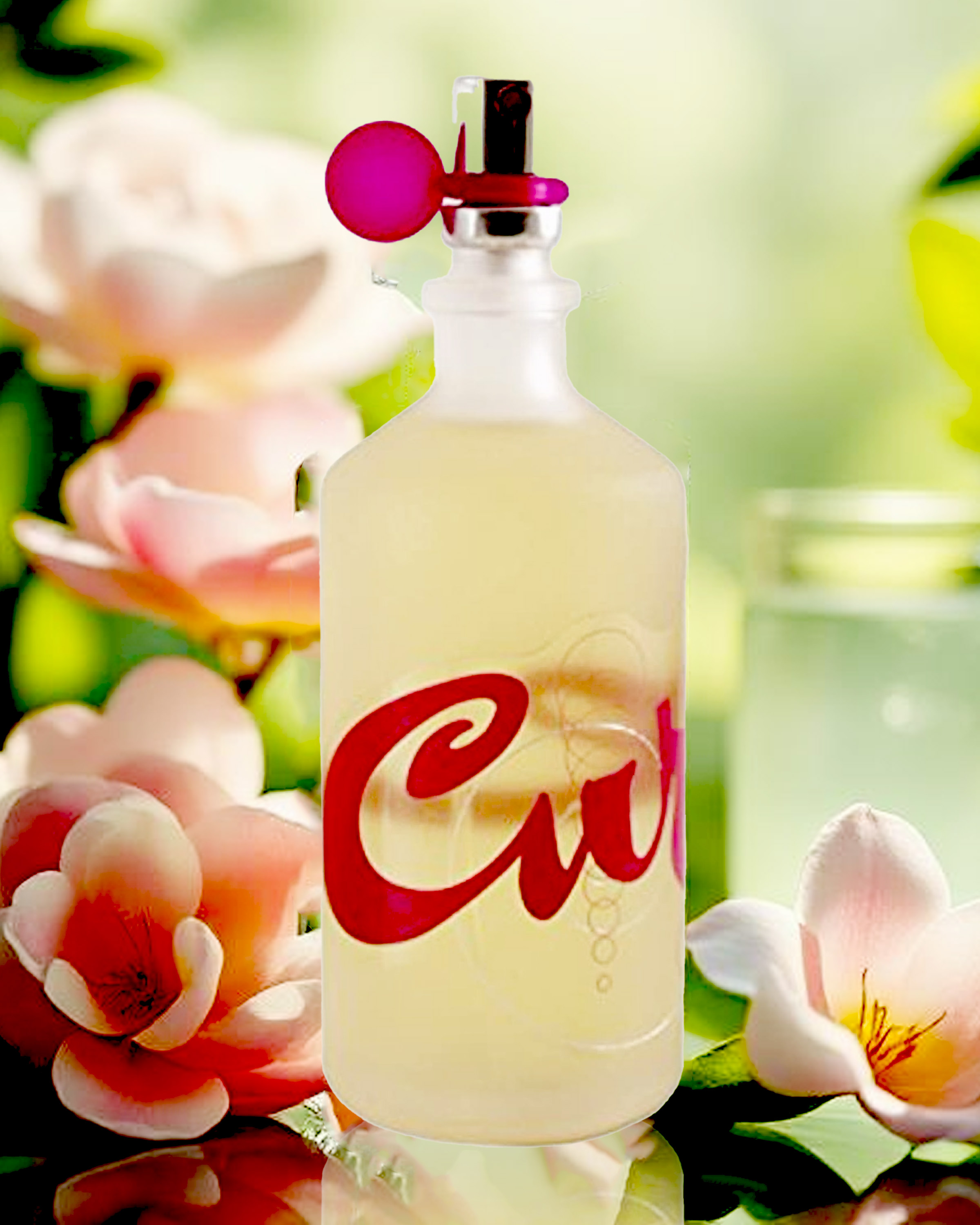  Curve Chill Perfume for Women | 3.4 oz EDT Spray