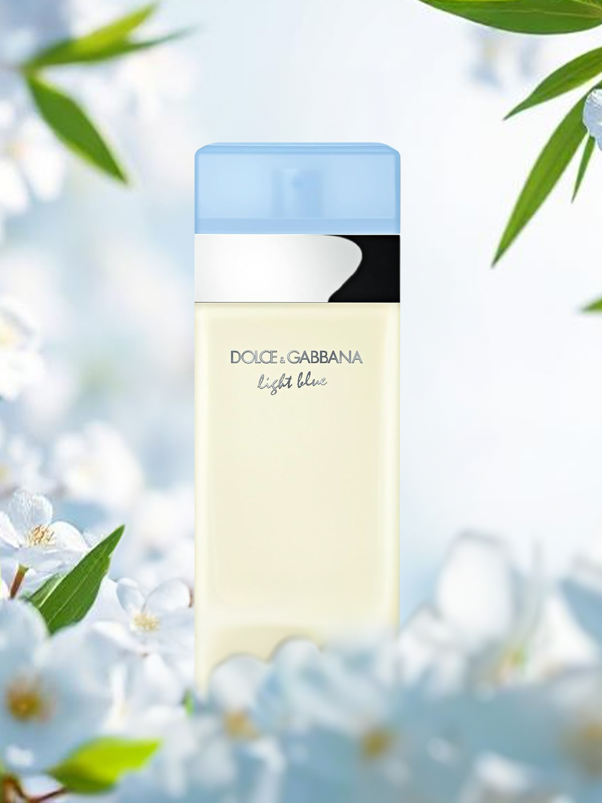 Dolce & Gabbana Light Blue 3.4 oz EDT Spray | Women's Citrus Fragrance | Shop Authentic