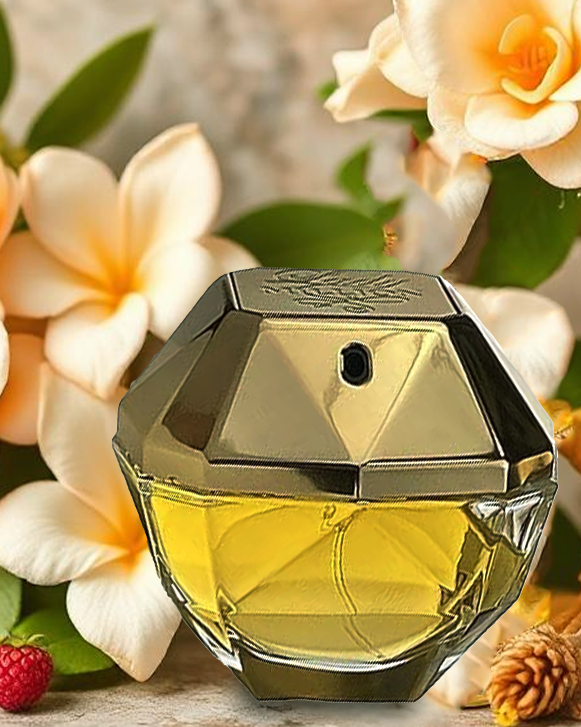 Lady Million Paco Rabanne Travel Set 2.7 oz EDP Spray | Portable Women's Fragrance