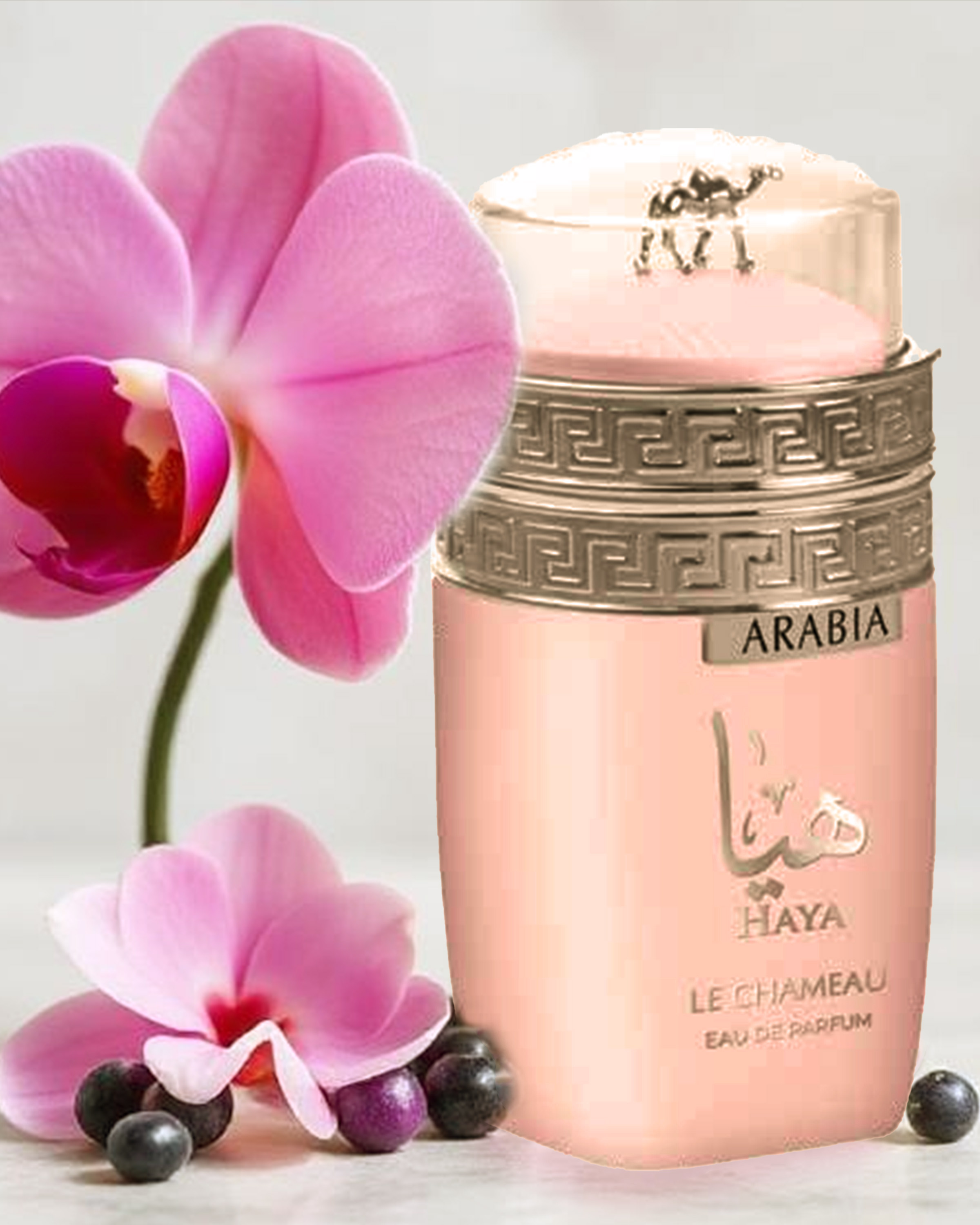 Le Chameau Arabia Haya Women's 3.4oz EDP Spray | Luxurious Arabian Floral Fragrance