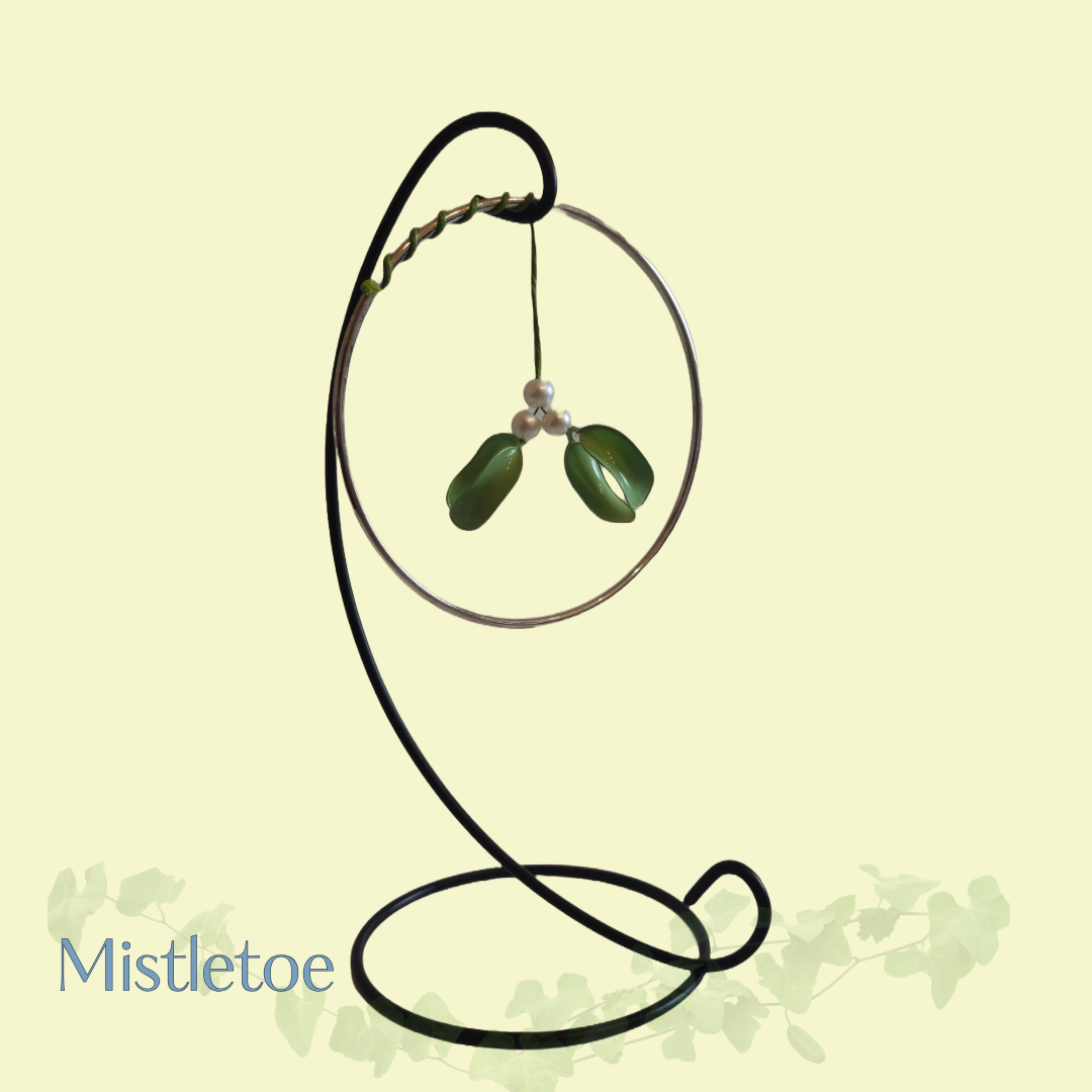 Hanging Mistletoe