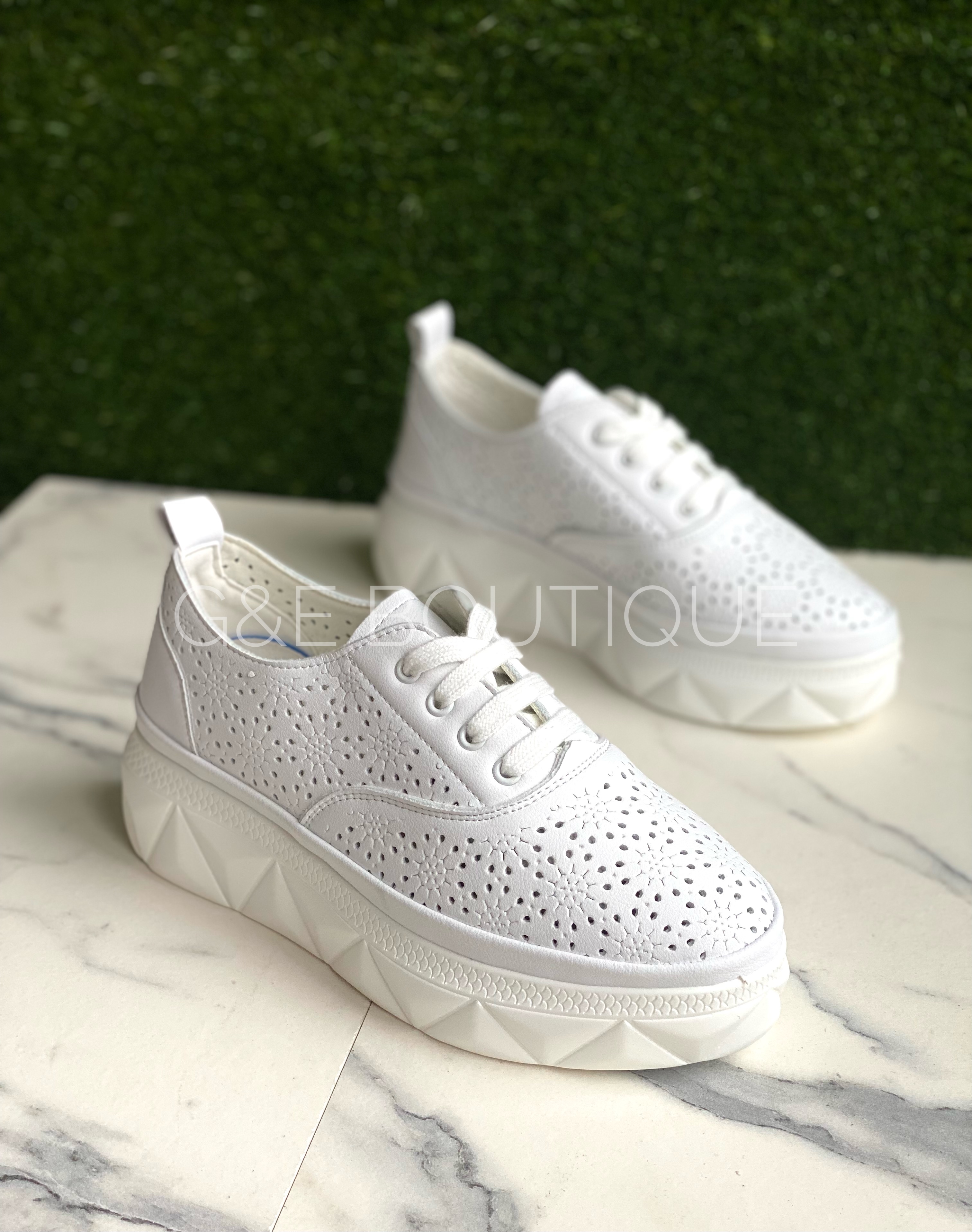 Balti odiniai pusbačiai