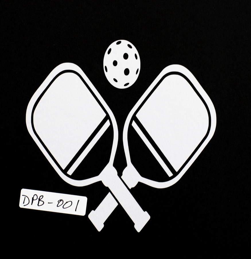 Pickleball Paddle & Ball 