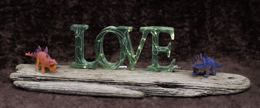 Dinosaur LOVE on Driftwood