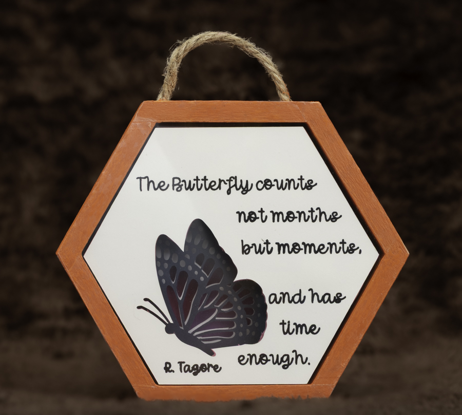 Butterfly Moments 