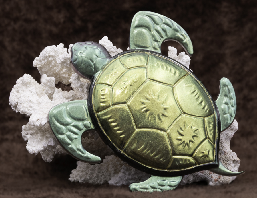Sunlit Shell Serenity