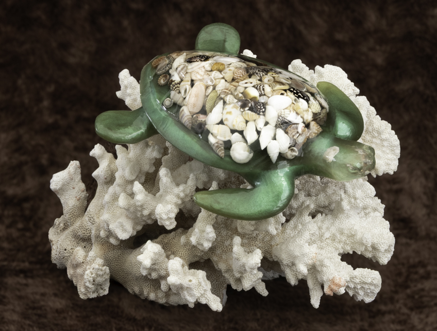 Seashell Sea Turtle